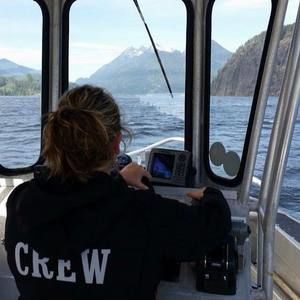 Meet your Posher, Allison